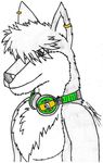 canine raver tagme wolf 
