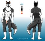  balls butt canine color_swatch eyewear glasses jay jusu_kilappa looking_at_viewer malamute male mammal model_sheet multiple_angles nude penis solo 