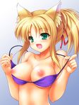  animal_ears bikini_top blonde_hair blush body_blush breasts dog_days fox_ears green_eyes hair_ribbon large_breasts motonaga_hiroya nipples open_mouth ponytail ribbon solo swimsuit undressing yukikaze_panettone 