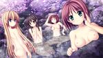  akizuki_tsukasa breasts game_cg haruno_tsubame karasuma_miyako minato_miu nipples nude onsen petals sakura_sakimashita sorahane sumire_(sakura_sakimashita) 