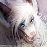  blue_eyes blush canine female fluffy fox hair iluq looking_at_viewer mammal quirachen smile solo white_hair 