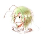  antennae green_eyes green_hair short_hair sketch solo touhou upper_body wriggle_nightbug yae_(mono110) 