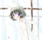  animal_ears artist_request babydoll bunny_ears inaba_tewi solo touhou 