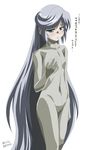  absurdres blue_eyes bodysuit flat_chest grey_bodysuit heroic_age highres long_hair nekorin silver_hair solo translation_request very_long_hair yuti_ra 