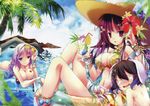  animal_ears bikini blush bunny_ears bunnygirl cleavage drink hat hijiri_byakuren inaba_tewi kamiya_yuu swimsuit topless touhou water yagokoro_eirin 