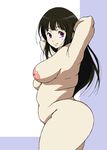  1girl areolae arms_behind_head breasts brown_hair chitanda_eru eleven(pixiv3341011) eleven929rr fat female hands_behind_head hyouka large_areolae large_breasts long_hair looking_back nipples nude profile purple_eyes solo standing 