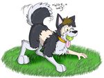  brown_eyes brown_hair canine collar dog english_text fox0808 grass hair hindpaw husky male mammal nude paws plain_background tennis_ball text tongue transformation white_background 