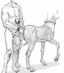  equine erection errection female fingering furronika greyscale human male mammal monochrome nude penis straight taur 