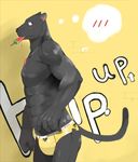  absurd_res anthro biceps black_fur blush bulge clothed clothing embarrassed english_text feline fur half-dressed hi_res ice_cream male mammal muscles ondoteiko panther pecs plain_background pose red_eyes solo speedo speedos swimsuit text topless watermelon yellow_background 