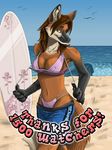  anthro beach bikini bikini_bottoms bikini_top canine clothing fox sea seaside shorts skimpy surfboard surfing 