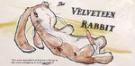  bcs tagme the_velveteen_rabbit 