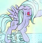  cloudchaser friendship_is_magic my_little_pony tagme 