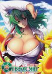  breasts cleavage female field flower fuyuwa_kotatsu green_hair highres kazami_yuuka large_breasts smile sunflower touhou 