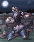  angrboda anthro belt black_nose canine claws clothed clothing cowboy cowboy_hat coyote eyes_closed fence feral full_moon grass hat hindpaw howl jeans kneeling mammal moon night open_mouth outside pants paws shirt stars teeth tongue torn_clothing transformation whiskers 