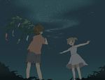  1girl hayato_(meromoni) night night_sky original sky tanabata tanzaku 