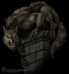  canine crouching demonic mammal nightlyre wolf 