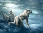  canine cool_colors crouching foot_prints footprints keeling kneeling lhuin mammal sitting snow werewolf_calendar wolf yellow_eyes 