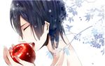  apple blue_hair hijirikawa_masato tagme 