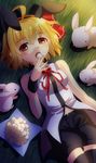  ahoge alternate_costume animal_ears bare_shoulders black_legwear blonde_hair blush breasts bunny bunny_ears eating fang hair_ribbon highres lying medium_breasts on_back on_grass on_ground open_mouth red_eyes ribbon rumia sakuyabm short_hair shorts solo sunset thighhighs touhou wrist_cuffs 