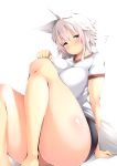  animal_humanoid big_breasts blush breast_squish breasts canine canine_humanoid clothed clothing female hair half-closed_eyes humanoid mammal momiji_inubashiri red_eyes shirt shishi_juuroku short_hair shorts solo thick_thighs touhou uniform white_hair wolf_humanoid 