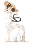  alternate_costume animal_ears barefoot brown_eyes brown_hair cat_ears cat_tail chen commentary dog dress foot_licking full_body hat hat_tug licking nakashino_setsu open_mouth short_hair simple_background solo straw_hat sun_hat sundress tail touhou white_background 