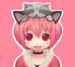  animal animal_ears animal_on_head cat_ears choker fang fur_trim lowres migorz on_head outline pink_eyes pink_hair raccoon ragnarok_online short_hair smile 