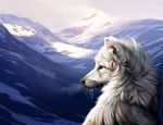  ambiguous_gender canine cool_colors fur mammal snow werewolf_calendar white_fur wold wolf yellow_eyes 