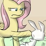  angry duo equine female feral fluttershy_(mlp) friendship_is_magic fur green_eyes hair horse lagomorph male mammal my_little_pony pegasus pink_hair plain_background pony rabbit slap speccysy white_fur wings yellow_fur 