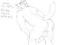  balls biceps big but butt canine erection fur gay invalid_tag male mammal muscles nude pecs penis pet pose serious sketch solo wolf 