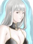  1girl breasts brown_eyes cleavage hirayama_koubusho long_hair looking_at_viewer selvaria_bles senjou_no_valkyria senjou_no_valkyria_1 silver_hair solo 