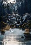  anthro dragon forest horn matching minna_sundberg moss peaceful pond rocks scenery shadowumbre swan tree wood yellow_eyes 