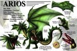  101 arios diphallism dragon dudey_101 hemipenes horn male model_sheet multi_cock penis scalie solo wings 