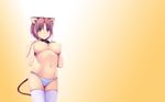  animal_ears blush breasts brown_eyes brown_hair catgirl collar nipples original panties pink_eyes pink_hair short_hair striped_panties tail thighhighs topless underwear zangyura 