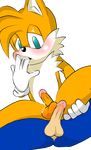  balls canine cum dripping duo erection fox gay hedgehog male mammal miles_prower penis sega sex sonic_(series) sonic_the_hedgehog sontails tails 