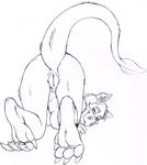  ear_piercing female hotpie looking_at_viewer monochrome nude piercing presenting pussy raised_tail sketch solo tauntaun 