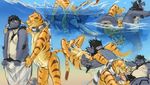  chubby dragon feline flir gay kahmari male oral pool_toy scalie scarf sea tiger water 