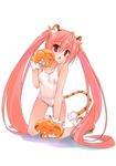  animal_ears hidan_no_aria kanemoto_akari kobuichi school_swimsuit swimsuits tail 