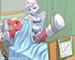  anthro anthrofied atryl bed big_macintosh_(mlp) bra breasts clothed clothing english_text equine erection female freckles friendship_is_magic garter_belt hat horse horsecock legwear lingerie lying male mammal my_little_pony nipples nude nurse_redheart_(mlp) on_back panties penis pillow pony skimpy standing stethoscope stockings text underwear 