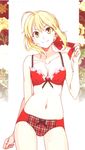  background blonde_hair bra fate/extra fate/stay_night fate_(series) fate_zero flower green_eyes highres long_hair panties ribbon saber saber_extra simple simple_background smile underwear white_background 