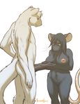  2011 big_breasts big_penis breasts challenge_accepted couple feline female interspecies male meesh mink molly_(koyote) mouse mustelid nipples nude penis plain_background pussy rodent size_difference straight white_background 