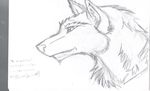  bustergundam4 canine character english_text greyscale male mammal monochrome original sketch solo text traced unknown_artist wolf 
