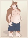  canine chubby clothing dog looking_at_viewer male mammal overweight shorts source_request tacodebeef tacoderes theuseless topless 