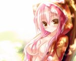  animal_ears blush breasts catgirl cleavage long_hair no_bra open_shirt original pink_hair shia_(syroh) syroh 