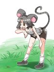  animal_ears bike_shorts grey_hair highres mouse_ears mouse_tail nazrin solo sweat tail touhou zassou_maruko 