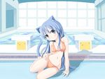  animal_ears bad_id bad_pixiv_id bikini blue_eyes blue_hair cat_ears darkside long_hair original pool solo starting_block swimsuit 