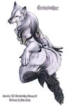  anthro beautiful canine elegant female fluffy gravewalker gravewalker_(character) hair jumping long_hair looking_at_viewer mammal mummy_wrappings palelady paws whiskers wolf 