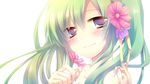  amamine bad_id bad_pixiv_id face flower green_hair hair_flower hair_ornament hatsune_miku smile solo twintails vocaloid 