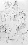  canine comic female fox male nightabsol paper_wings pencil shower sketch wirefur wolf 