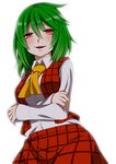  ascot blush breasts colorized crossed_arms eichi_yuu green_hair highres kazami_yuuka long_sleeves looking_at_viewer medium_breasts open_mouth red_eyes short_hair simple_background smile solo touhou white_background 