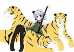  animal bad_id bad_pixiv_id black_hairband blue_eyes blush bow hair_ribbon hairband highres hujikok konpaku_youmu long_sleeves ribbon short_hair sitting solo sword thighhighs tiger touhou weapon yellow_eyes 